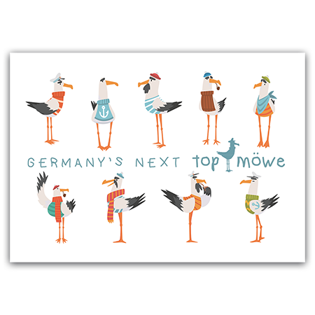 Germany's Next Top Möwe  Germany's Next Top Möwe (Strukturkarton mit Lack-Effekten)