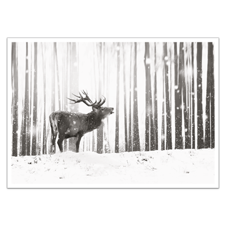  | Hirsch im Schnee