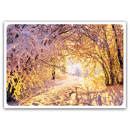  | Winterwaldspaziergang (Strukturkarton)