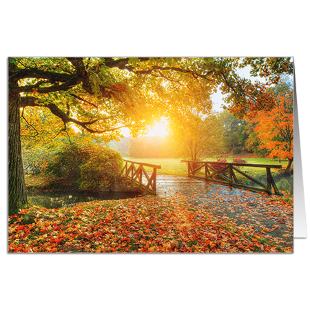  | Herbst im Park