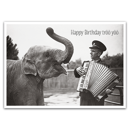 Happy Birthday tröö yöö | Happy Birthday tröö yöö