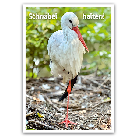  | Schnabel halten!