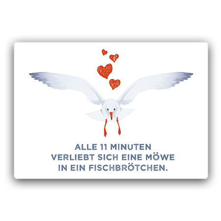 Alle 11 Minuten verliebt sich eine Möwe in ein Fischbrötchen | Fischbrötchenverliebt