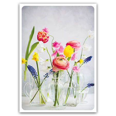  | Frühlingsblümchen (Strukturkarton)